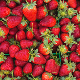 Strawberry - Body Butter Souffle - Party Favors